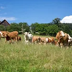 Wachahof Bauernhof *