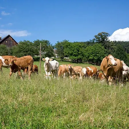Wachahof Séjour à la ferme *