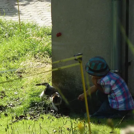 Wachahof Gospodarstwo agroturystyczne *