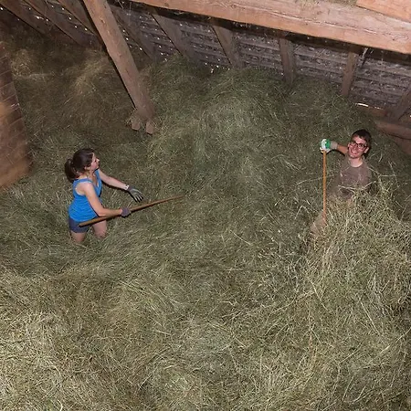 Wachahof Gospodarstwo agroturystyczne