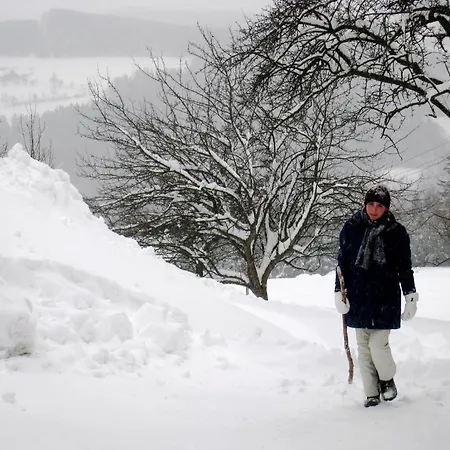 Wachahof Gospodarstwo agroturystyczne *