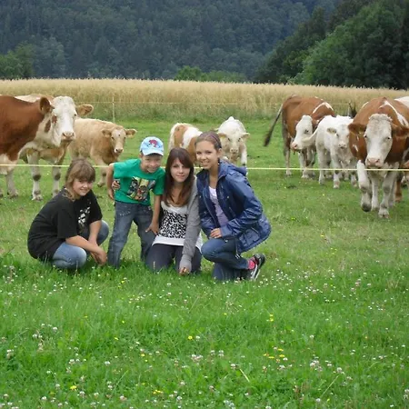 Wachahof *