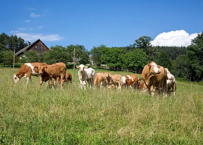 Wachahof Vakantieboerderij *