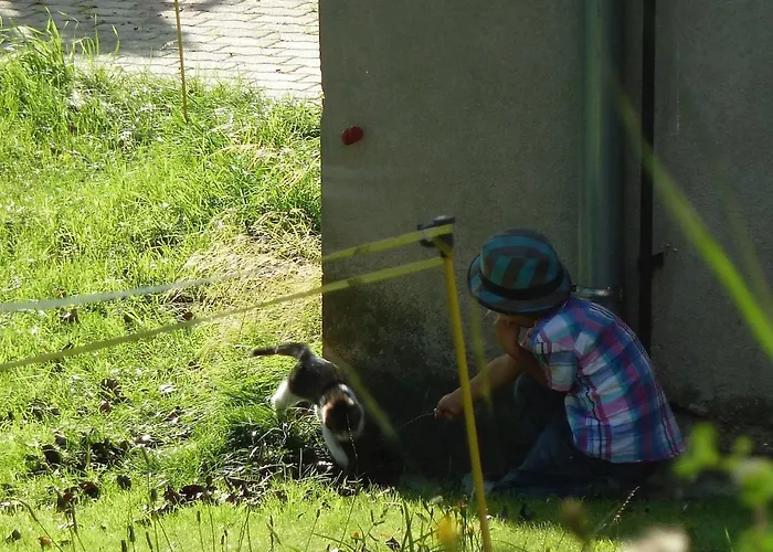 哇哈农家乐 农家乐 *