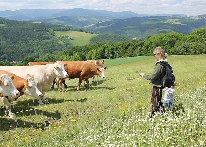 哇哈农家乐 Edlitz