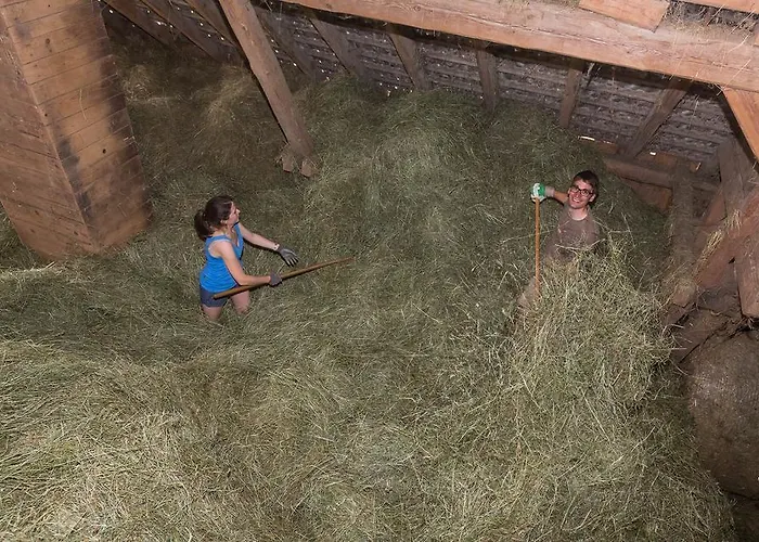 哇哈农家乐 农家乐