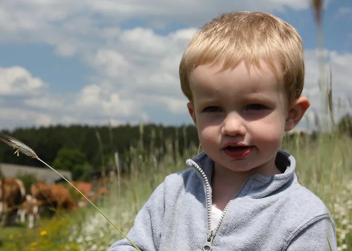 Wachahof Vakantieboerderij *