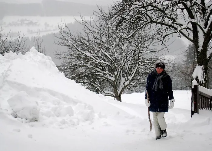 哇哈农家乐 农家乐 *