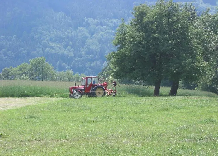 哇哈农家乐 * Edlitz