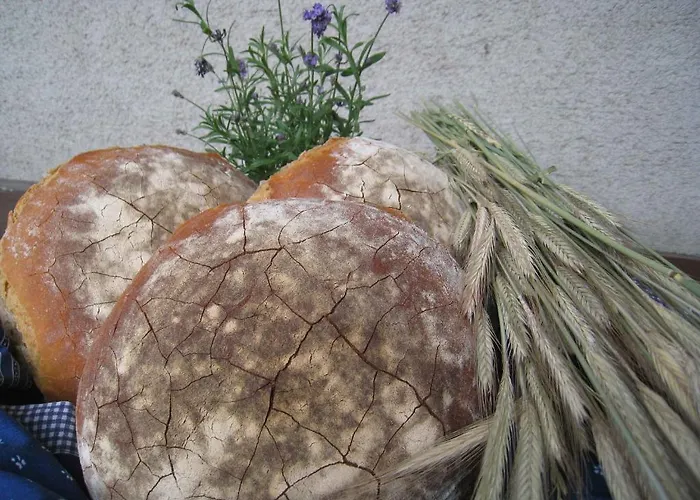 Vakantieboerderij Wachahof *