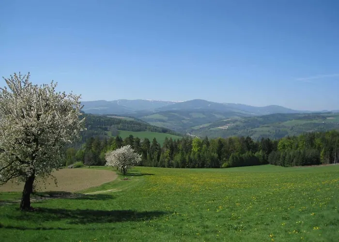 哇哈农家乐 农家乐 *